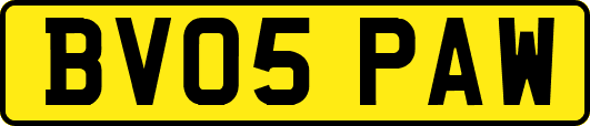 BV05PAW