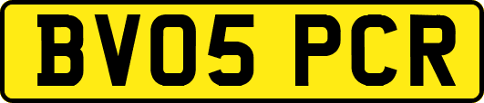 BV05PCR