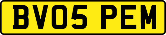 BV05PEM
