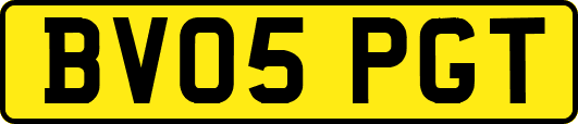 BV05PGT