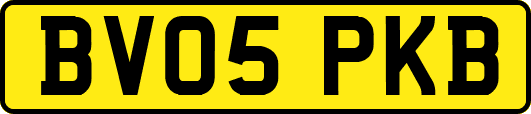 BV05PKB