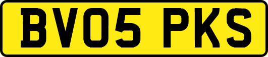 BV05PKS