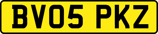 BV05PKZ