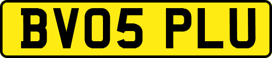 BV05PLU