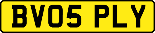 BV05PLY