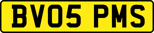BV05PMS