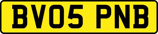 BV05PNB