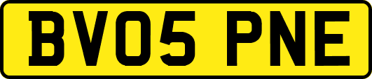 BV05PNE
