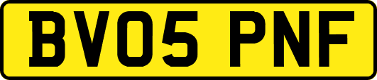 BV05PNF