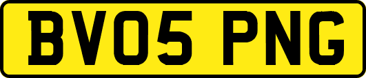 BV05PNG