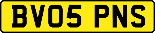 BV05PNS
