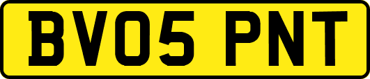 BV05PNT