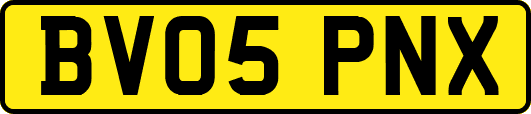 BV05PNX