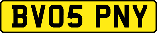 BV05PNY
