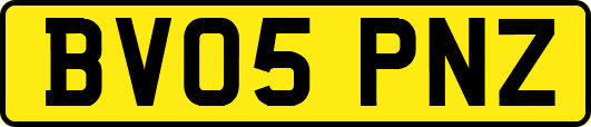 BV05PNZ