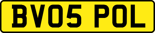 BV05POL