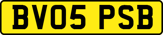BV05PSB