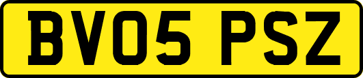 BV05PSZ