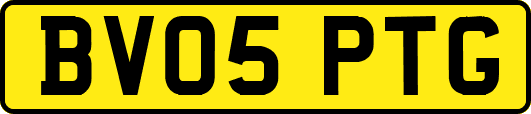 BV05PTG