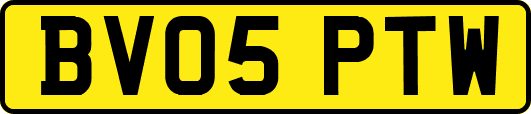 BV05PTW