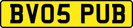 BV05PUB