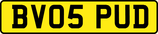 BV05PUD