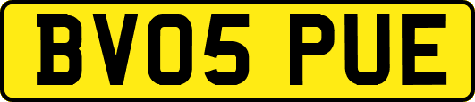 BV05PUE
