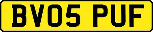 BV05PUF