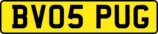 BV05PUG