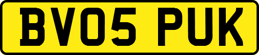 BV05PUK