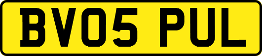 BV05PUL