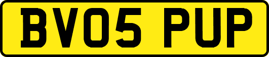 BV05PUP