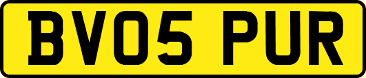 BV05PUR