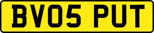 BV05PUT