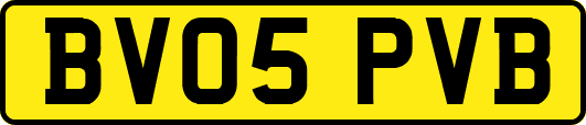 BV05PVB