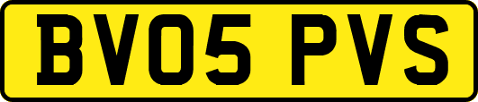 BV05PVS