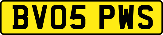 BV05PWS
