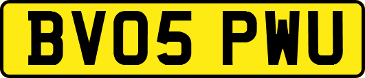 BV05PWU