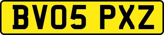 BV05PXZ