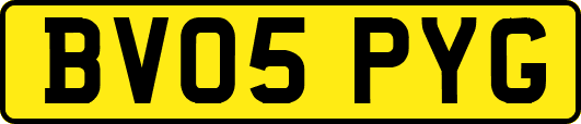 BV05PYG