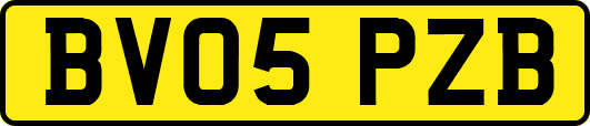 BV05PZB