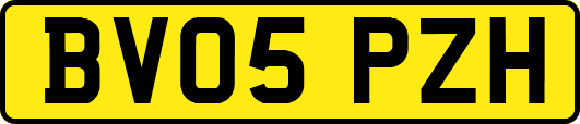 BV05PZH