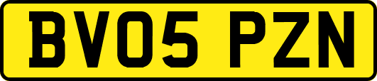 BV05PZN