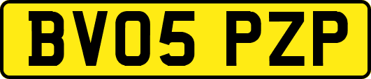 BV05PZP