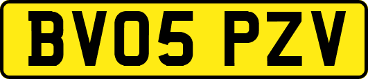 BV05PZV