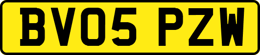BV05PZW