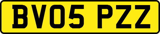 BV05PZZ