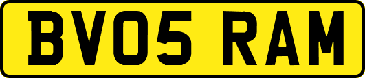 BV05RAM