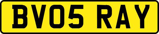 BV05RAY