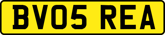BV05REA